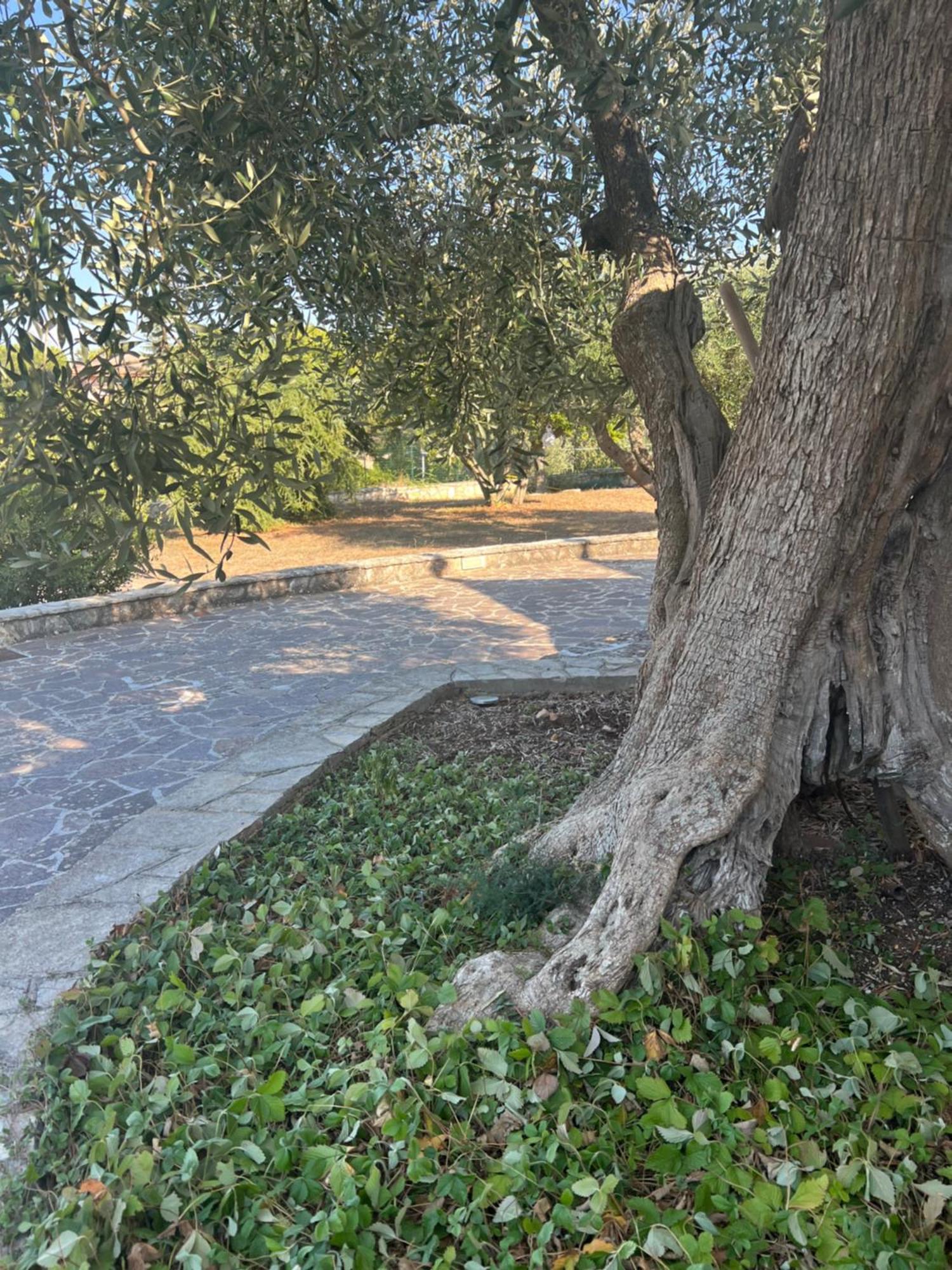 I Trulli Di Eva Apartment Noci Luaran gambar